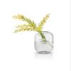 EVA SOLO Acorn Vase, H 16.5 cm, Decorative Glass Vase in a Simple and Organic Shape, Clear view 2