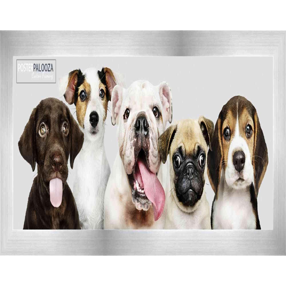 Poster Palooza 10x32 Frame Silver Pewter Wood Panoramic Frame with UV Acrylic Plexiglass, Foam Board Backing & Hardware Included