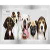 Poster Palooza 10x32 Frame Silver Pewter Wood Panoramic Frame with UV Acrylic Plexiglass, Foam Board Backing & Hardware Included view 1