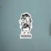 #Crazychickenlady Crazy Chicken Lady 5 inch Waterproof Decal Sticker Messy Bun Chick Eggs Farm Barn Boho Wire Barbed Wire Western Farmhouse Country Cowboy Cowgirl Wood Feather Rodeo Sunflower Animals Vintage Chicken Cow Pig Horse CS1524-2PK view 3