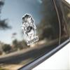 #Crazychickenlady Crazy Chicken Lady 5 inch Waterproof Decal Sticker Messy Bun Chick Eggs Farm Barn Boho Wire Barbed Wire Western Farmhouse Country Cowboy Cowgirl Wood Feather Rodeo Sunflower Animals Vintage Chicken Cow Pig Horse CS1524-2PK view 4