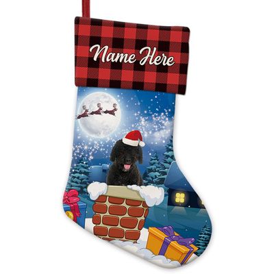 MALIHONG Personalized Dog Christmas Stocking 1 Pack Stockings Spanish Water Dog Fireplace Hanging Stockings Children's Candy Gift Bag Indoor Family Holiday Xmas Party Christmas Decor 14.4"