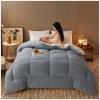 ZTGL Winter Quilt, Thicken Warm Lamb Cashmere Comforter Winter, Lamb Wool Blanket, Heavy Blankets for Winter Double Bed, Double-Sided Warm Quilted Quilts,Soot,200 * 230cm (4.5kg) view 2