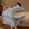 ZTGL Winter Quilt, Thicken Warm Lamb Cashmere Comforter Winter, Lamb Wool Blanket, Heavy Blankets for Winter Double Bed, Double-Sided Warm Quilted Quilts,Soot,200 * 230cm (4.5kg) view 4