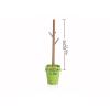 YQBUER Toilet Brush and Holder Toilet Brush Branch Shape Toilet Brush Fashion Bathroom Accessories Plastic Toilet Brush Holder Long Handle Easy to Clean Green Red Yellow Deep Cleaning Every Corner view 2
