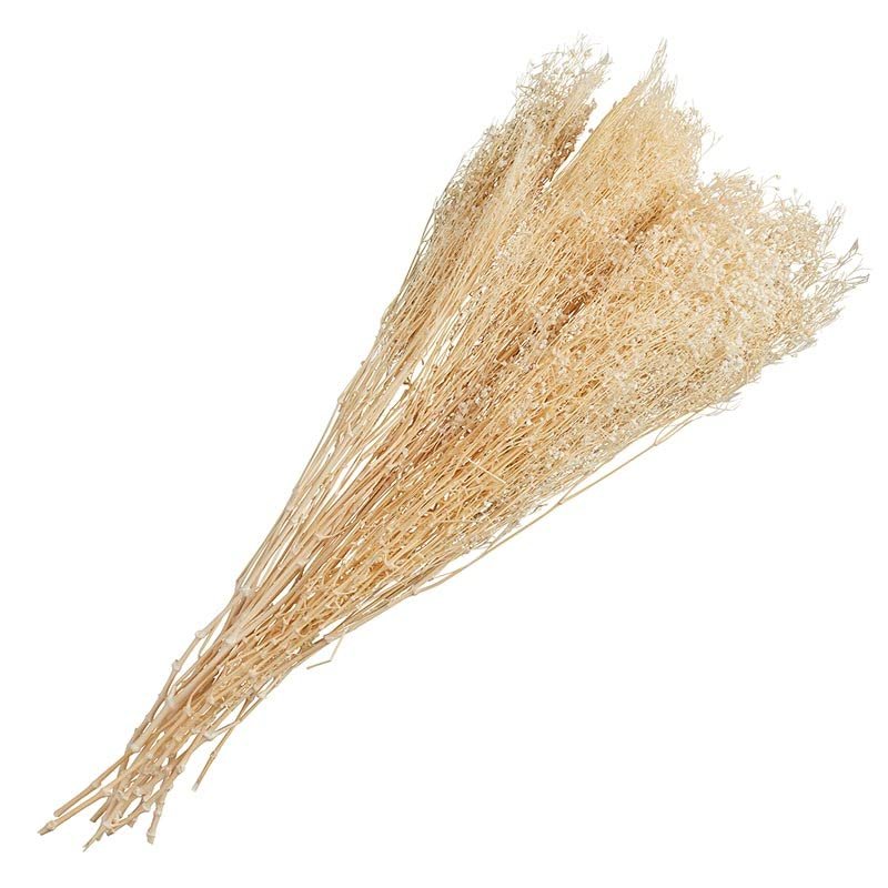 47th & Main Dried Gyspohilia Stems Bunch for Home Dcor, 27-Inches Long, Natural
