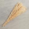 47th & Main Dried Gyspohilia Stems Bunch for Home Dcor, 27-Inches Long, Natural view 2
