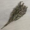 47th & Main Dried Eucalyptus Stems Bunch for Home Dcor, 36-Inches Long, Green view 2