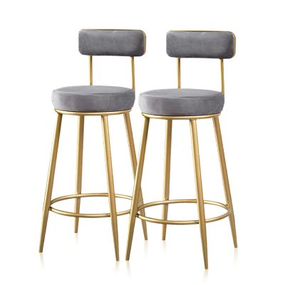 Kitchen Breakfast Bar Stools, Counter Height High Stools with Back Footrest, Modern Velvet Padded BarStool 25in Sitting height-Grey