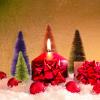 DCQRY 16Pcs Artificial Mini Christmas Tree Sisal Trees with Wooden Base Bottle Brush Christmas Trees Xmas Tabletop Trees for Home Kitchen Christmas Party Decoration view 2