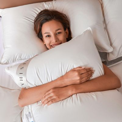 baisihan Premium Goose Down Pillows Queen Size - 700+ Fill Power, Down Pillow for Stomach Sleeper, 100% Cotton 500 TC Cover Down Pillow Queen Size Plush Pillow 1 Pack 20"x30"