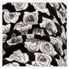 Aesthetic Floral Fleece Thick Warm Blanket for Winter, Cozy Luxury Plush Bed Blankets, Warm and Cozy Fuzzy Blanket (Black Rose,80x90) view 2