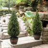 3ft(35) Artificial Cedar Outdoor Artificial Shrub Sunlight Resistant Leafy Potted Plant for Indoor Porch of Home and Office Artificial Outdoor Tree 2 Pieces a Set Topiary Trees view 3