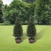 3ft(35) Artificial Cedar Outdoor Artificial Shrub Sunlight Resistant Leafy Potted Plant for Indoor Porch of Home and Office Artificial Outdoor Tree 2 Pieces a Set Topiary Trees view 4