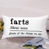 Farts Definition Lumbar Throw Pillow Covers 12x24 Farmhouse Rectangle Farts Cushion Covers Funny Wedding Birthday New Home Gift view 3