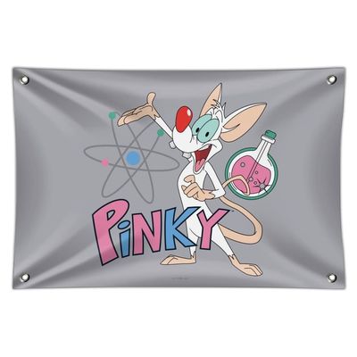 GRAPHICS & MORE Pinky & The Brain Character Pinky Home Business Office Sign