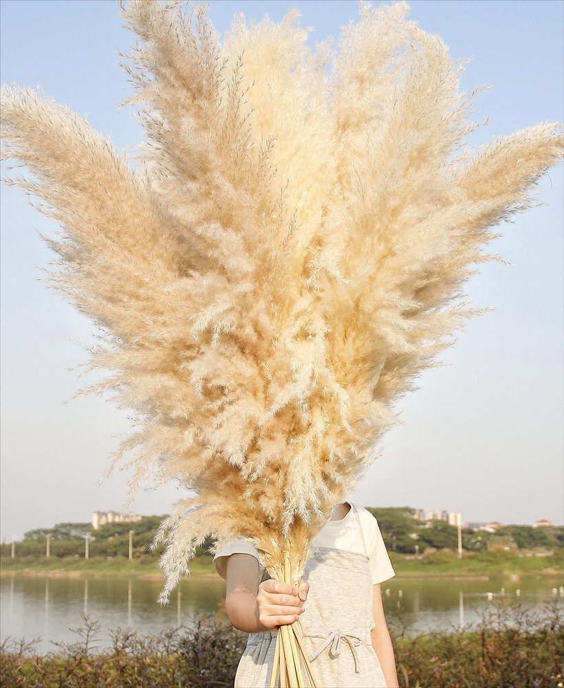 10 Stems 46" inch Dried Pampas Grass Decor Tall, Large Pompas Grass, Boho Neutral Home Decor Bouquet, Fluffy Pampass Grass for Floor Vase Wedding Floral Arrangements Wall Farmhouse Table Decor