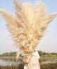 10 Stems 46" inch Dried Pampas Grass Decor Tall, Large Pompas Grass, Boho Neutral Home Decor Bouquet, Fluffy Pampass Grass for Floor Vase Wedding Floral Arrangements Wall Farmhouse Table Decor view 1