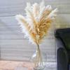 10 Stems 46" inch Dried Pampas Grass Decor Tall, Large Pompas Grass, Boho Neutral Home Decor Bouquet, Fluffy Pampass Grass for Floor Vase Wedding Floral Arrangements Wall Farmhouse Table Decor view 2