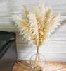 10 Stems 46" inch Dried Pampas Grass Decor Tall, Large Pompas Grass, Boho Neutral Home Decor Bouquet, Fluffy Pampass Grass for Floor Vase Wedding Floral Arrangements Wall Farmhouse Table Decor view 4