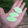 10 PCS Fake Sliced Cucumbers Artificial Resin Vegetable for Display, Kitchen Decor, Prop view 3
