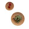 RDSAQWEXC Jiaxu Storage, Nordic Style Handmade Rattan Hollow Oval Storage Plate, Japanese Pastoral Basket view 2
