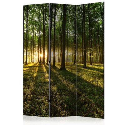 artgeist Acoustic Room Divider Forest Tree Nature 53x68 in - Double-Sided Folding Screen Print on Non-Woven Canvas Acoustic Foam 3 Panel Home Office Green c-B-0027-z-b