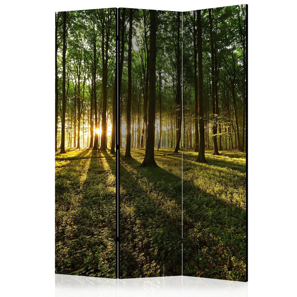 artgeist Acoustic Room Divider Forest Tree Nature 53x68 in - Double-Sided Folding Screen Print on Non-Woven Canvas Acoustic Foam 3 Panel Home Office Green c-B-0027-z-b