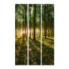 artgeist Acoustic Room Divider Forest Tree Nature 53x68 in - Double-Sided Folding Screen Print on Non-Woven Canvas Acoustic Foam 3 Panel Home Office Green c-B-0027-z-b view 4