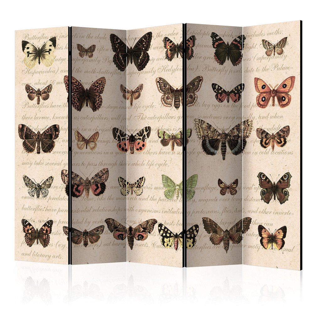 artgeist Acoustic Room Divider Vintage Nature Butterfly 90x68 in - Double-Sided Folding Screen Print on Non-Woven Canvas Acoustic Foam 5 Panel Home Office g-C-0032-z-c