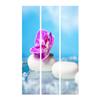 artgeist Acoustic Room Divider Spa Zen 53x68 in - Double-Sided Folding Screen Print on Non-Woven Canvas Acoustic Foam 3 Panel Home Office Blue Rose White b-B-0189-z-b view 4
