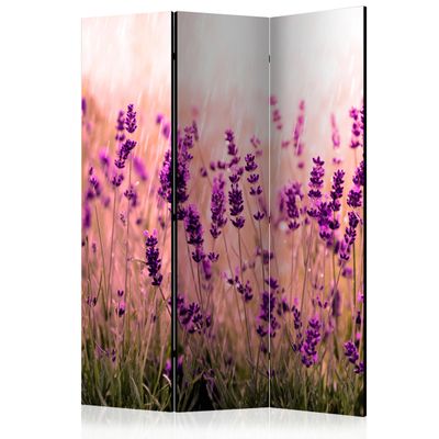 artgeist Acoustic Room Divider Lavendel Nature Wiese 53x68 in - Double-Sided Folding Screen Print on Non-Woven Canvas Acoustic Foam 3 Panel Home Office Violet b-B-0111-z-b