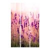 artgeist Acoustic Room Divider Lavendel Nature Wiese 53x68 in - Double-Sided Folding Screen Print on Non-Woven Canvas Acoustic Foam 3 Panel Home Office Violet b-B-0111-z-b view 4