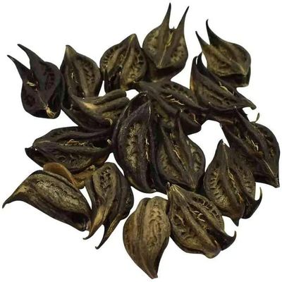 CROW Bat Head Roots - Devil Pod - Evil Pod - 11 Pieces - for Good Health Wealth & Happiness