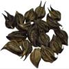 CROW Bat Head Roots - Devil Pod - Evil Pod - 11 Pieces - for Good Health Wealth & Happiness view 1