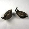 CROW Bat Head Roots - Devil Pod - Evil Pod - 11 Pieces - for Good Health Wealth & Happiness view 2