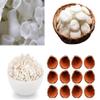 Diya Clay Mitti Diya with Kheel Khilona Batasha Mithai Diwali Diwali Parsad Mithai Diwali Diya for Diwali Diya for Dipawali Pooja Items Diwali Pujan Diwali Items Diwali Decor Pack of 21 Diyas view 1