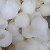 Diya Clay Mitti Diya with Kheel Khilona Batasha Mithai Diwali Diwali Parsad Mithai Diwali Diya for Diwali Diya for Dipawali Pooja Items Diwali Pujan Diwali Items Diwali Decor Pack of 21 Diyas view 4
