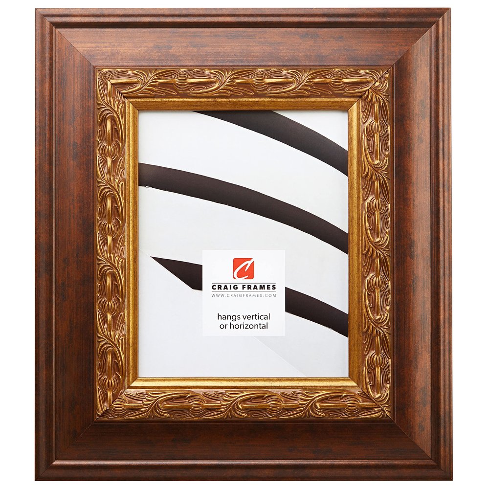 Craig Frames Gotham, 20x26 Picture Frame, Gold & Bronze