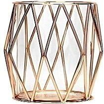 Flower Vase for Home Decor Modern Vase Vase Transparent Glass Flower Iron Frame Home Dining Table Office Desktop Floor Home Decoration