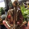 Brass Halloween Meditation Skull Sculpture,Scary Skeleton Miniatures Figurine Statue Home Bonsai Sand Table Desktop Study Bookshelf Decor Copper Ornament Handicraft Collection view 3