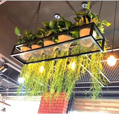 Ceiling Shelf Hanging Shelves Wine Glass Rack, Iron Chain Wine Bottle Holder for Garden Cabinet Kitchen Bar, Wine Storage Racks with Goblet/Stemware - Black, Adjustable (Size : 80x25x15cm)