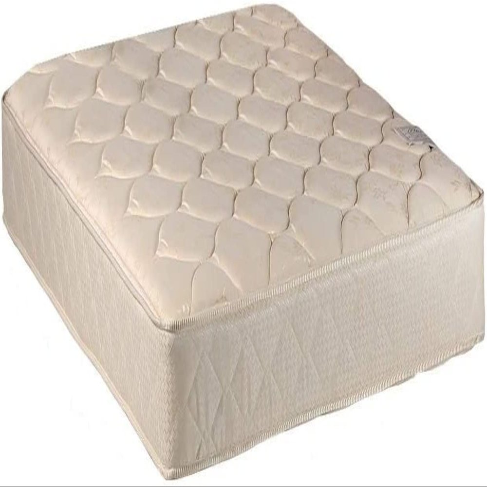 DS Solutions USA Comfort Classic None Flip Gentle Firm Full XL Mattress Only with Mattress Cover Protector