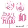 1 Pack Out Single Digits I'm 10 Cake Topper Glitter Double Digits 10 Cupcake Pick Cheers to 10 Years Old Ten Fabulous Cake Decorations for 10th Birthday Theme Party Supplies Pink view 3