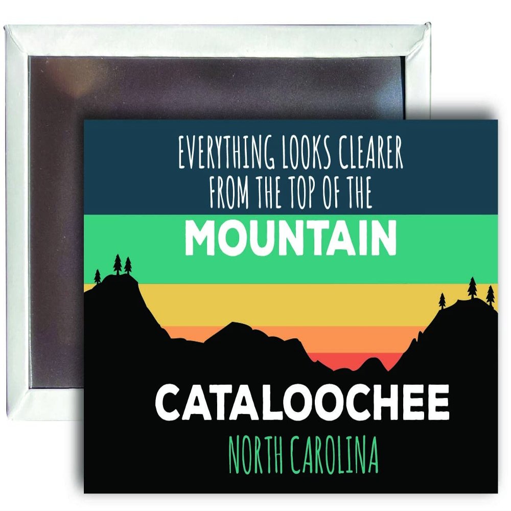 Cataloochee North Carolina 2 x 3 - Inch Ski Top of The Mountain Fridge Magnet
