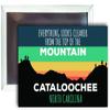 Cataloochee North Carolina 2 x 3 - Inch Ski Top of The Mountain Fridge Magnet view 1