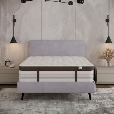 Mielmoon Foster Hybrid Latex Mattress 12" Natural Cooling Plush Prefomance M Class Motion Transfer Fiberglass Free Pressure Relieving/Bed-in-a-Box,Made in USA (Queen)