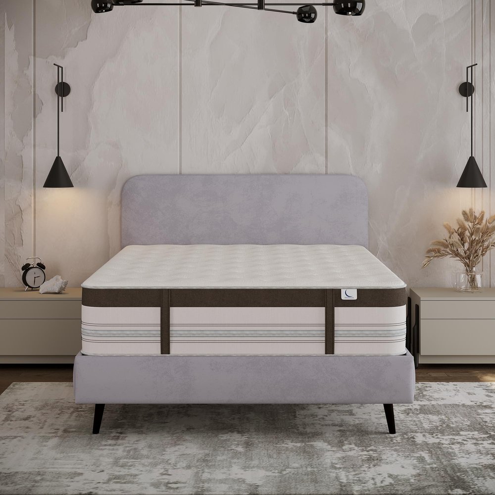 Mielmoon Foster Hybrid Latex Mattress 12" Natural Cooling Plush Prefomance M Class Motion Transfer Fiberglass Free Pressure Relieving/Bed-in-a-Box,Made in USA (Queen)