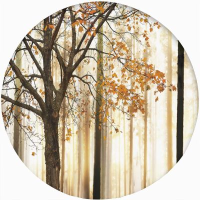 Fall Trees Round Fitted Tablecloth with Elastic Edge,Abstract Landscape Theme Art Print Polyester Table Cover, XXLarge, Fit Round Tables up 65"-71" Diameter, for Christmas Party Dining Banquet