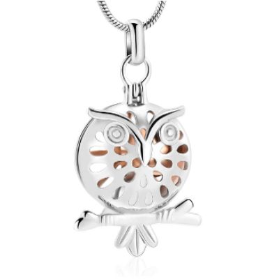 SHEIL Cremation Jewelry Cat Old Eagle Necklace Ashes Jar Urn Pendant Women and Men Necklaces Keepsake Gifts,1